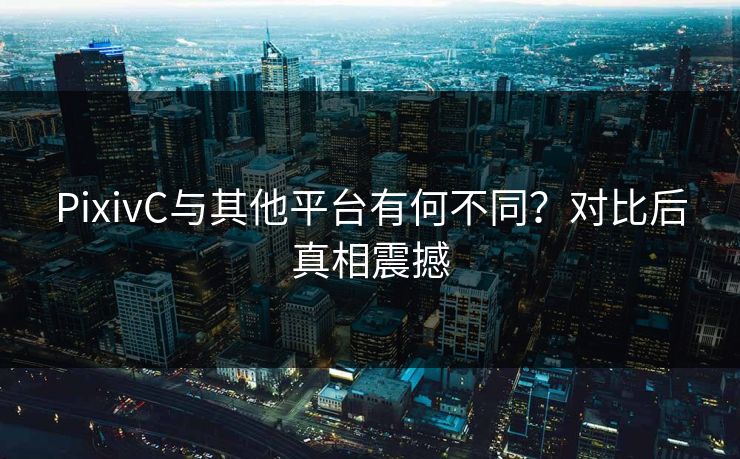 PixivC与其他平台有何不同？对比后真相震撼