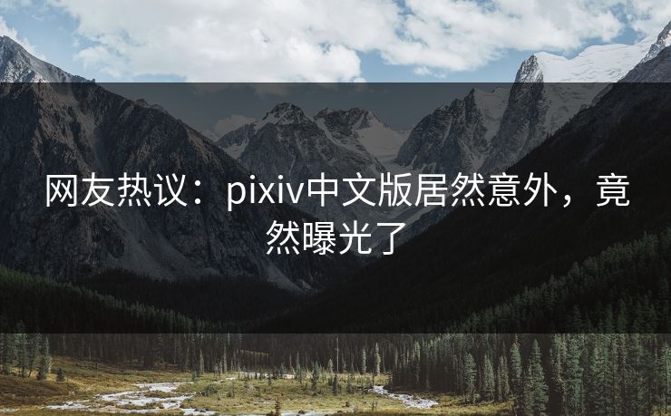 网友热议：pixiv中文版居然意外，竟然曝光了