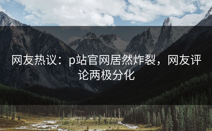 网友热议：p站官网居然炸裂，网友评论两极分化