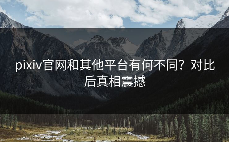 pixiv官网和其他平台有何不同？对比后真相震撼