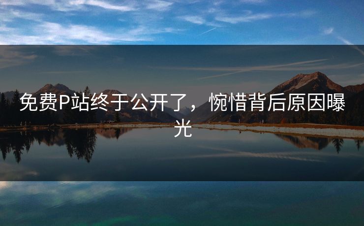 免费P站终于公开了，惋惜背后原因曝光