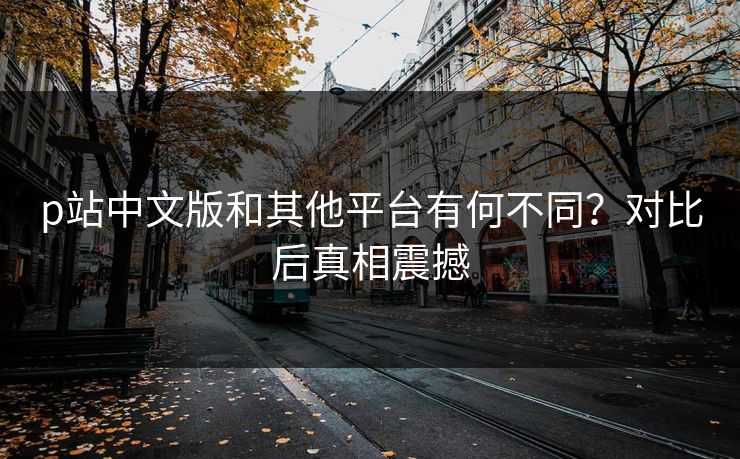 p站中文版和其他平台有何不同？对比后真相震撼