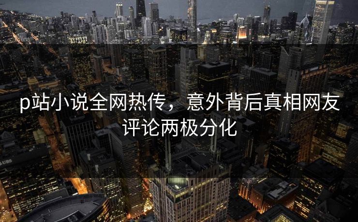 p站小说全网热传，意外背后真相网友评论两极分化
