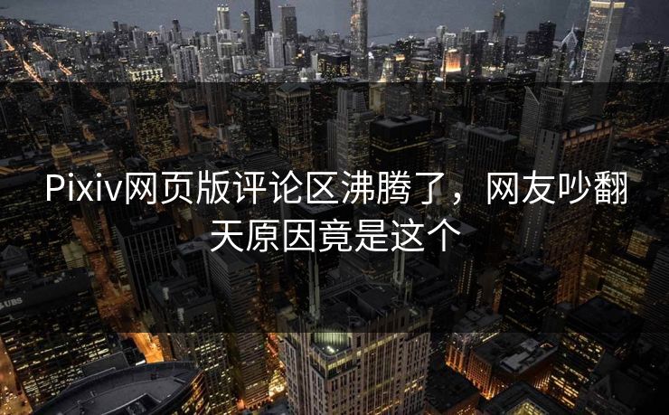 Pixiv网页版评论区沸腾了，网友吵翻天原因竟是这个